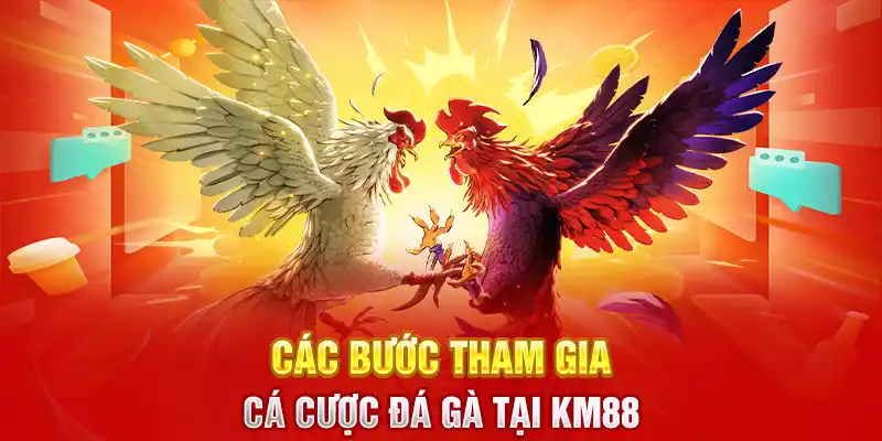 Các bước tham gia cá cược đá gà tại KM88